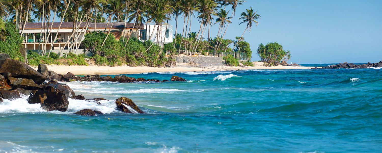 The Real Estate Market, With Years of Expertise 